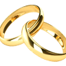 Carleo Creations Inc