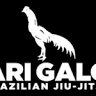 Ari Galo Jiu Jitsu
