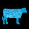Carnes Argentinas- Datripodi Import, S.L.