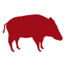 CarniBoar