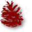 Carolina Behavioral Care: Ruck David C MD