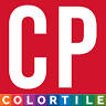CarpetsPlus ColorTile of NY