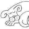 Carr Moss Kennels & Cattery