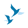 Palliative Pharmacy Solutions