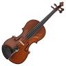 Caswells Strings