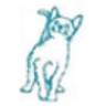 Cat Clinic At Cherry Hill