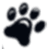 Cats On Call Hospital Inc