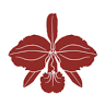 Cattleya Wines