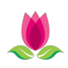 Cây Cảnh Tam Kỳ - Vườn cây cảnh hoa sen Việt