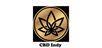 CBD American Shaman Indy