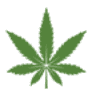 CBD-ZEN