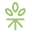CBD STORES