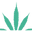 CBWEED - Valencia CBD SHOP