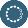 P15 (Cross Loop Road)