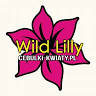 Wild Lilly Cebulki-Kwiaty.pl