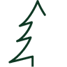Cedar Animal Hospital