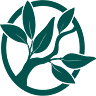 Cedar Valley Eye Care