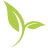 Center for Early Success
