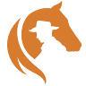CTEE - Centro de Treinamento Equestre Extrema