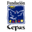 Fundación CEPAS