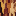 Certainly Wood, Inc.
