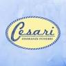 Cesari Onoranze Funebri
