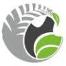 Chaitanya Agro Engineering