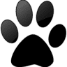 Maine Coon Cattery CHATILE