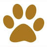 Cheetahlish