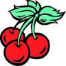 Cherry Ridge Campsites & Lodging, Inc.