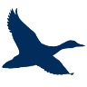 Chesapeake Bank - Mathews