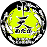中天めだか
