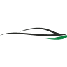 City Car Rent Prime