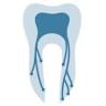 City Centre Endodontics