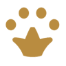 City Dog Vet & Grooming