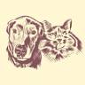 Claremont Veterinary Hospital