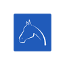 Clarendon Equine Vets