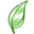 Clearikon