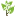 Clothes Dry Green
