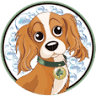 Clover's Car & Dog Wash