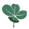 Clover Spa - Best Spa Massage Nha Trang