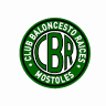 web oficial del club baloncesto raíces móstoles