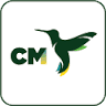 CM Airlines