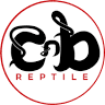 CnB Reptile
