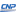CNP Professional