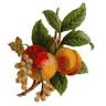 Coast Fresh Foods