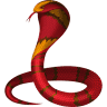 Cobra Chilli