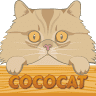cococathouse | Grooming Jogja & Cat Hotel Jogja | 