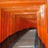 CoCoMo Japan Travel