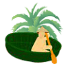Coconut Ring Tours
